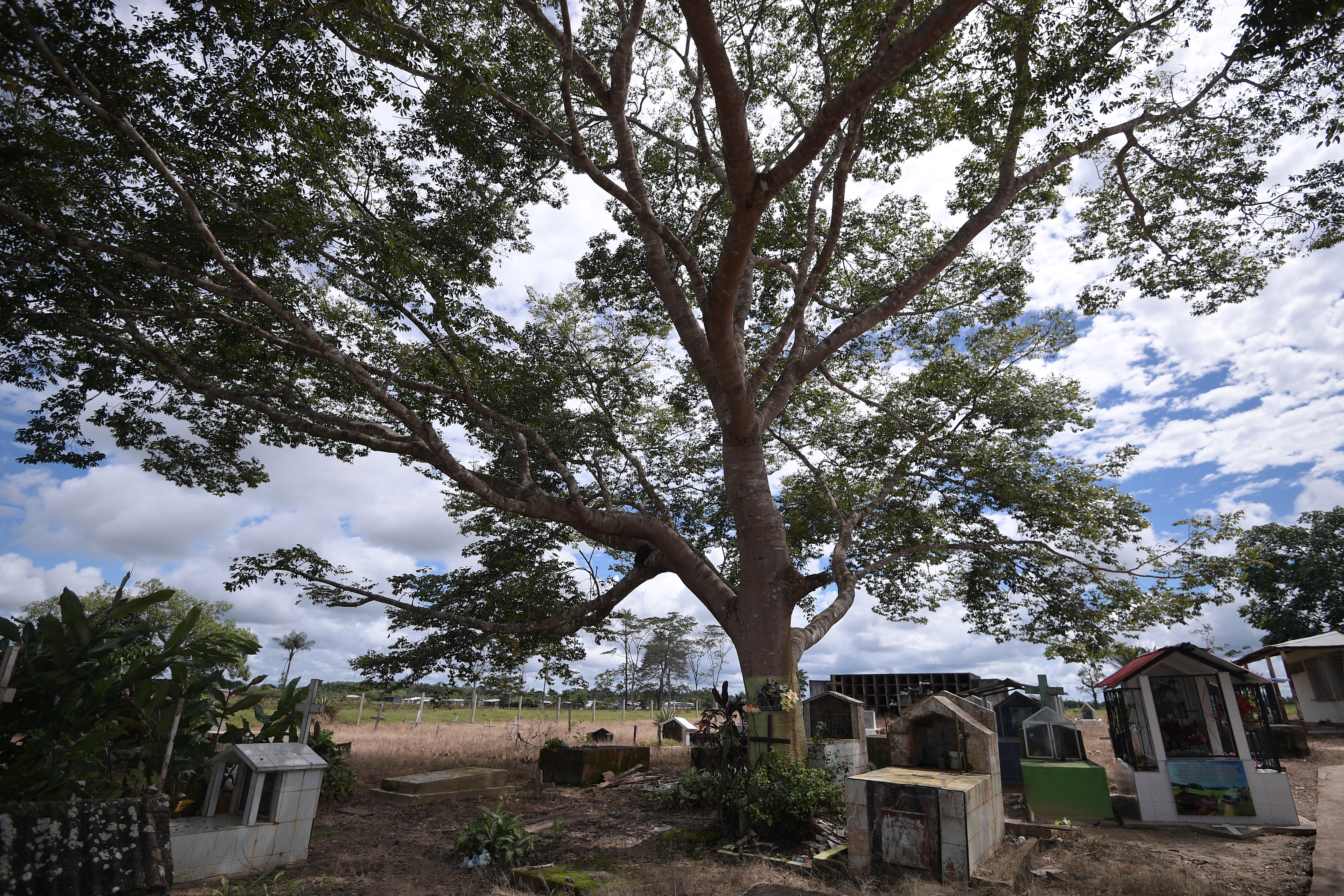 Procuraduría pide proteger cementerio en Guaviare donde habría restos de desaparecidos