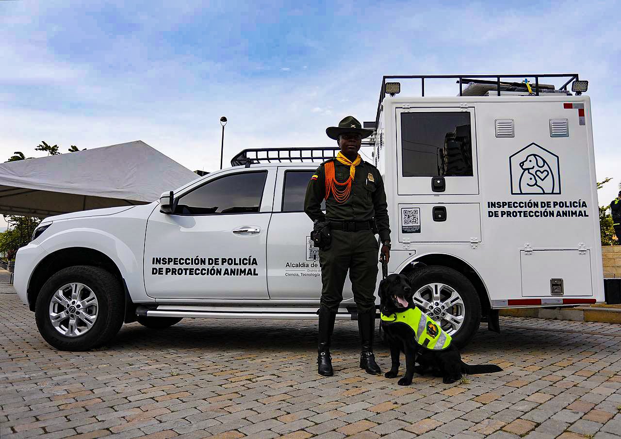 Medellín contará con una patrulla para atender casos de maltrato animal