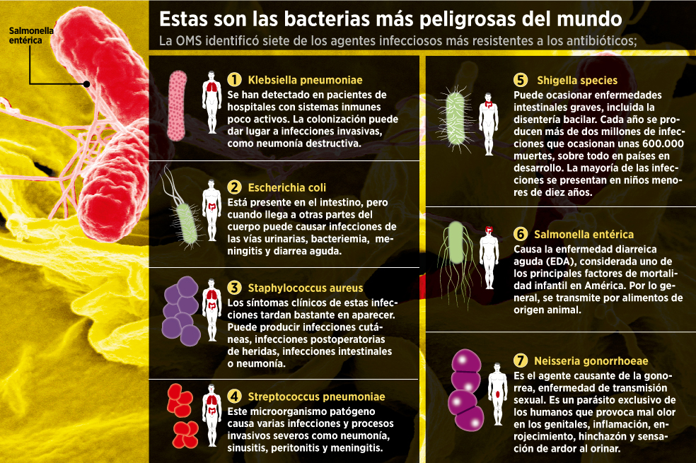 Los antibióticos ya no están funcionando