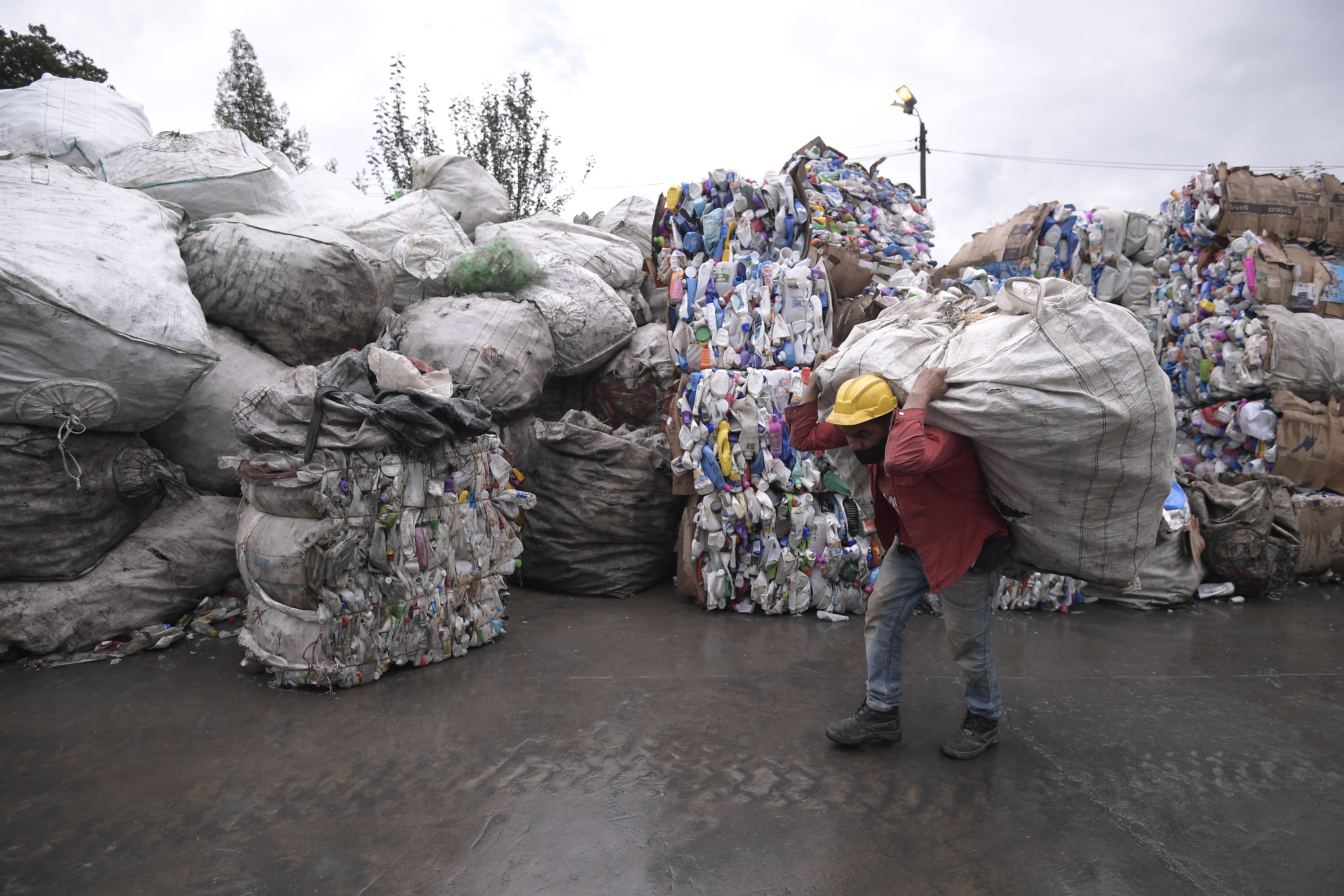 “Gestionando y Reciclando”: abren programa de formación para recicladores en Bogotá