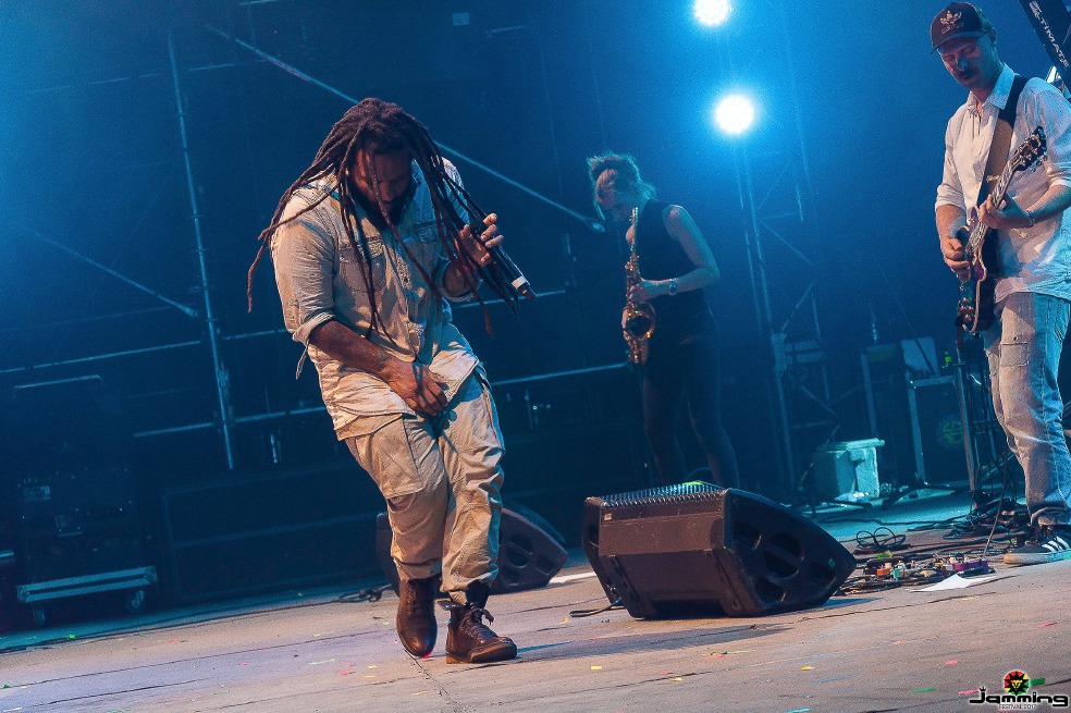 Jamming Festival 2018, una Jungla de Emociones