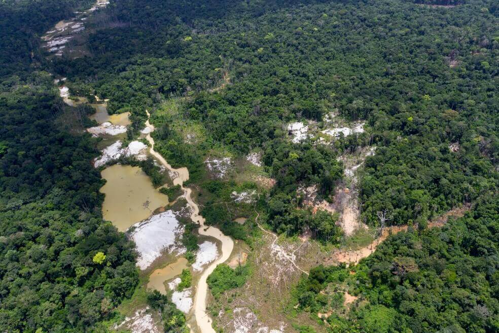La Amazonía será la gran preocupación de la Iglesia en su próxima reunión global