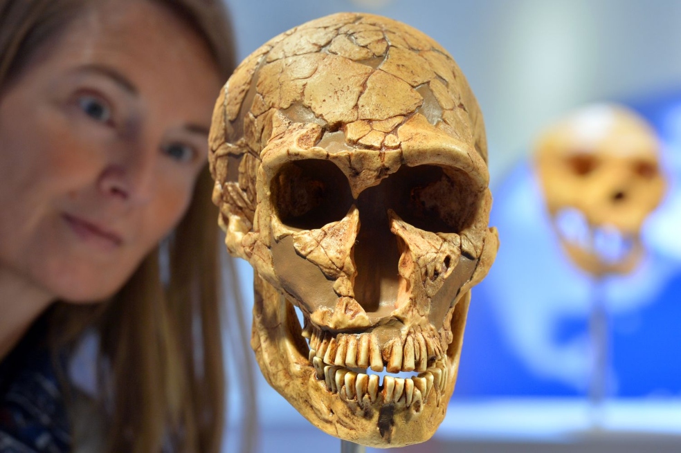 Lo que el ADN cuenta sobre la vida íntima de los neandertales
