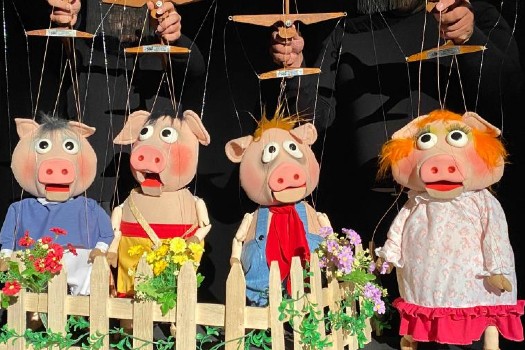 ¡Agéndese! A partir del 13 de enero comienza la programación gratuita del Teatro El Parque