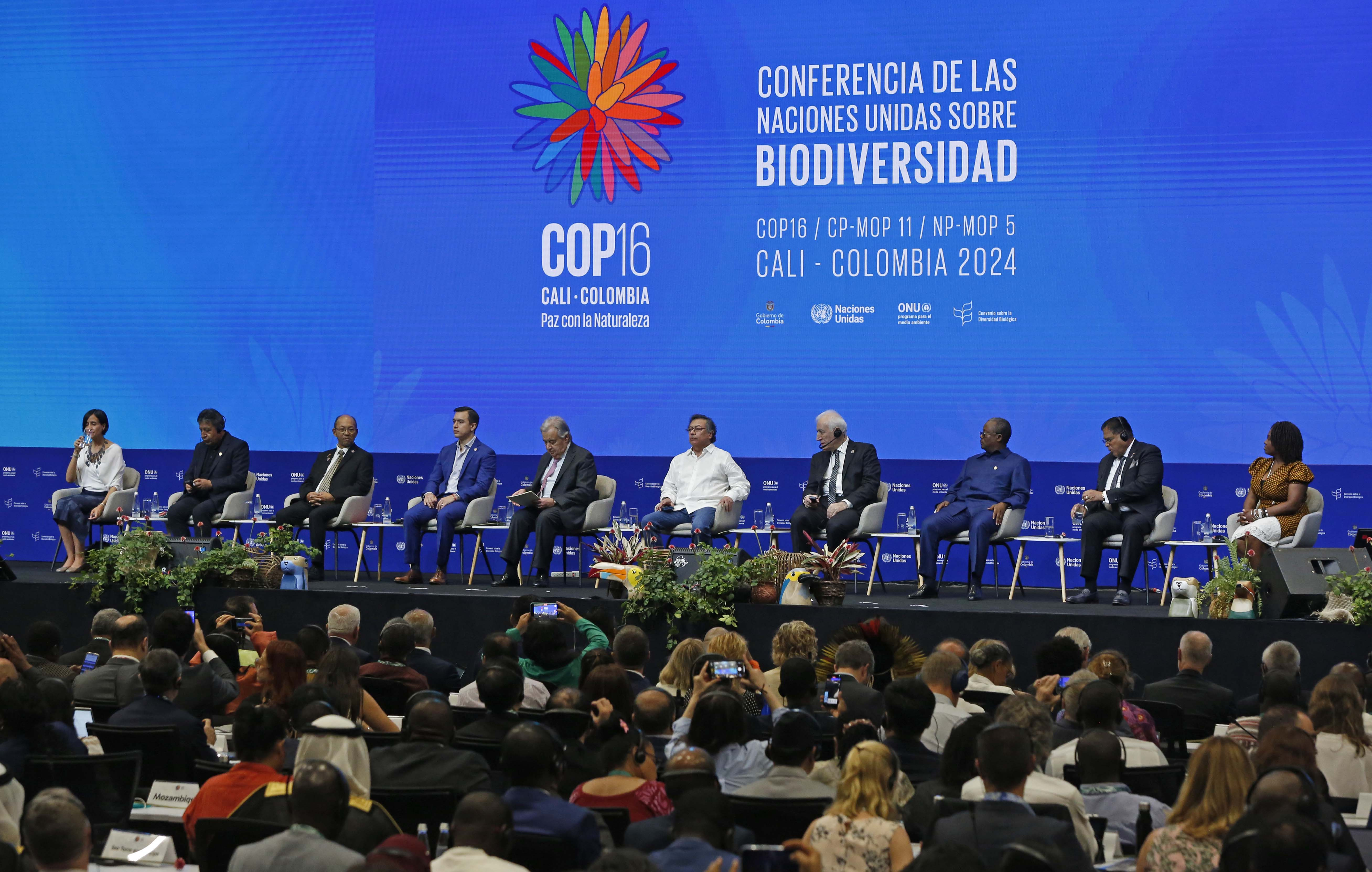 ¿Por qué todo el mundo está hablando del último día de la COP16?