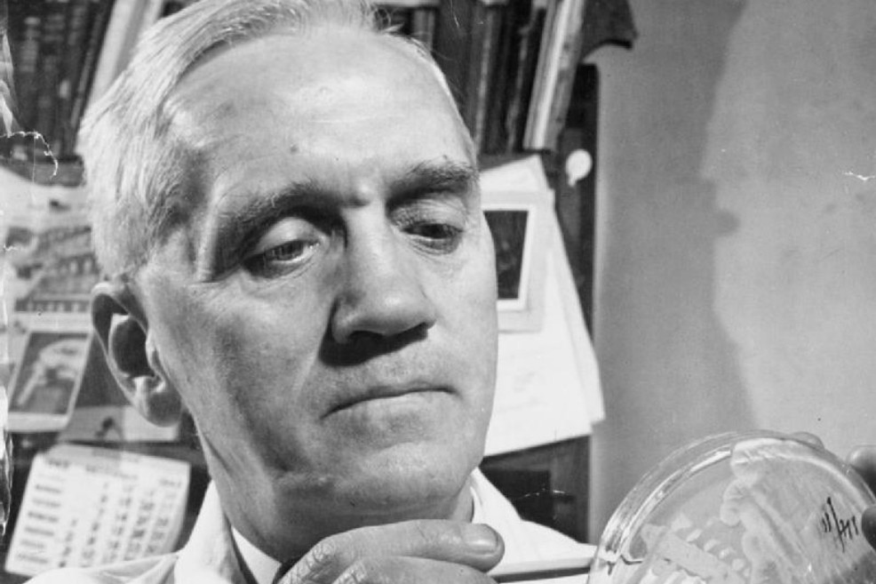 La penicilina, el antibiótico que revolucionó la medicina, cumple 90 años. Esta es su historia