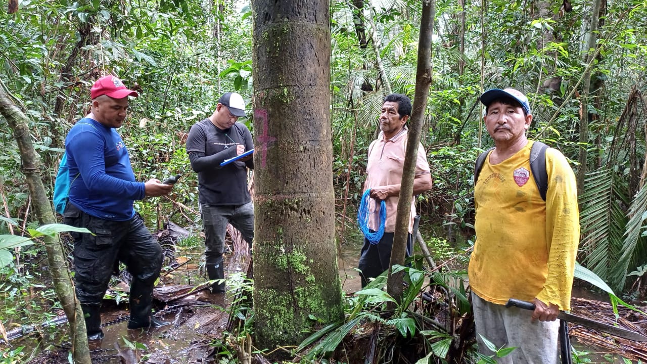 Censo forestal adelantado por las comunidades del municipio de Solano en la Amazonia colombiana.