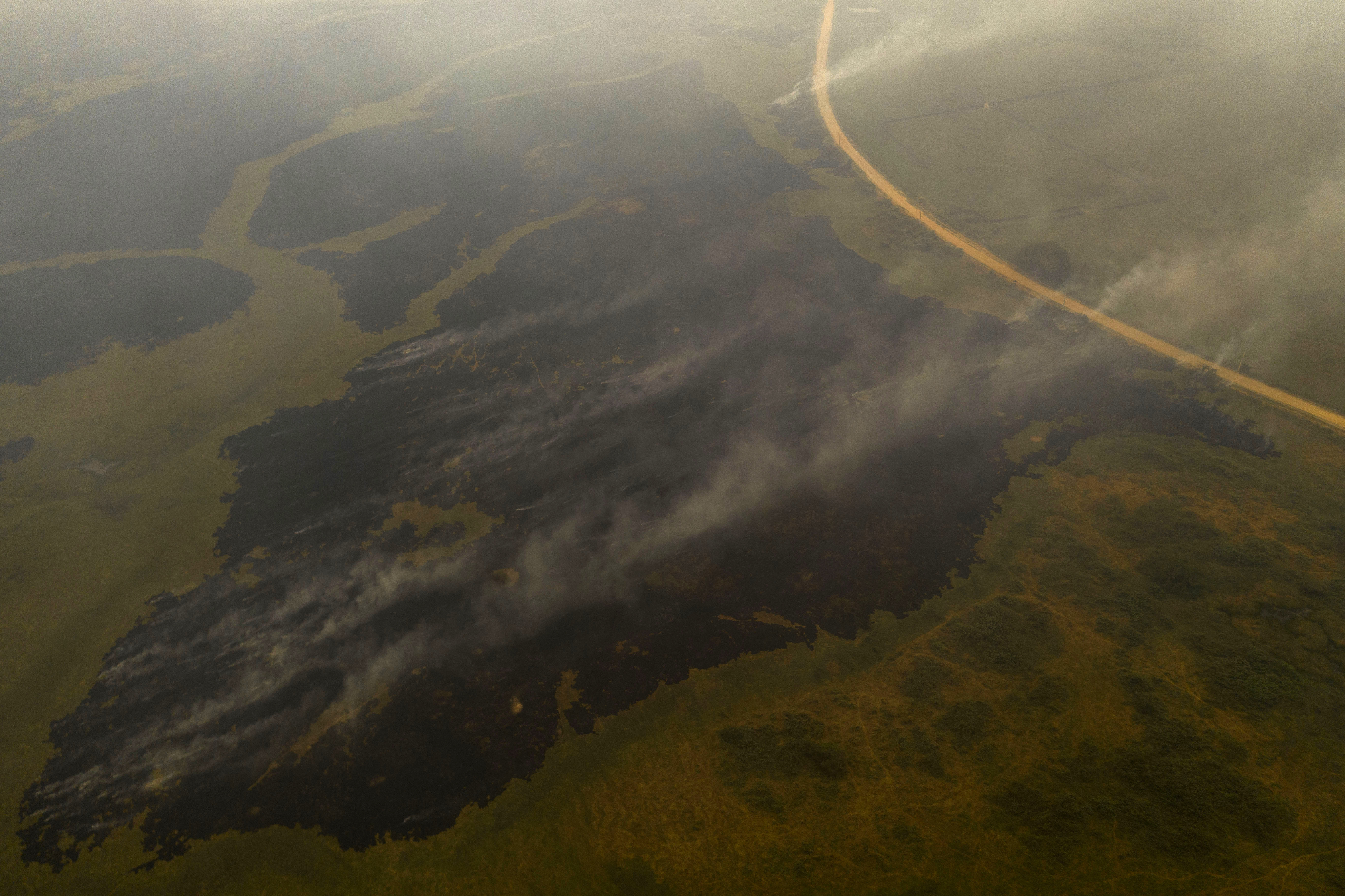 Incendio en Pantanal, Brasil: arde el humedal más grande del planeta