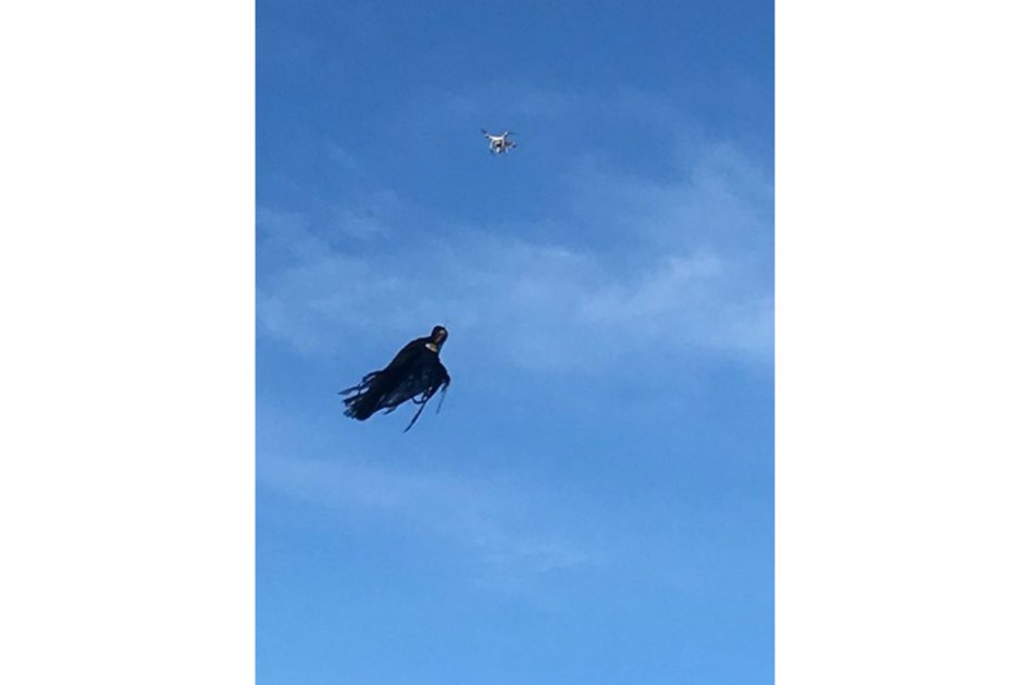 El dron disfrazado de “dementor” que aterrorizó un pueblo estadounidense