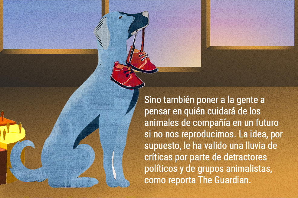 Subsidios y… ¿mascotas? Los incentivos para aumentar la natalidad en el este de Asia.