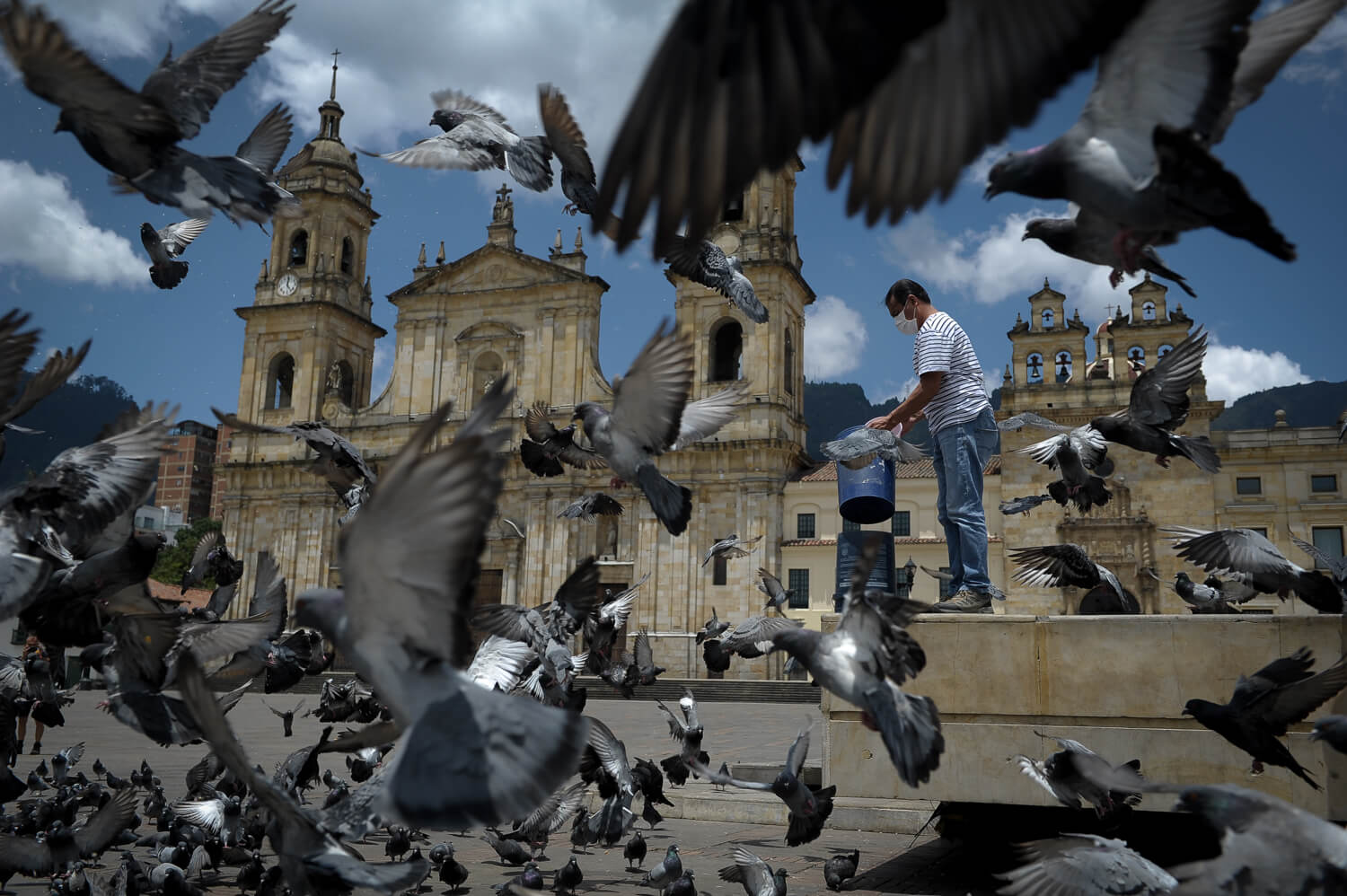 El bogotano que alimenta a las palomas de la Plaza de Bolívar durante la pandemia