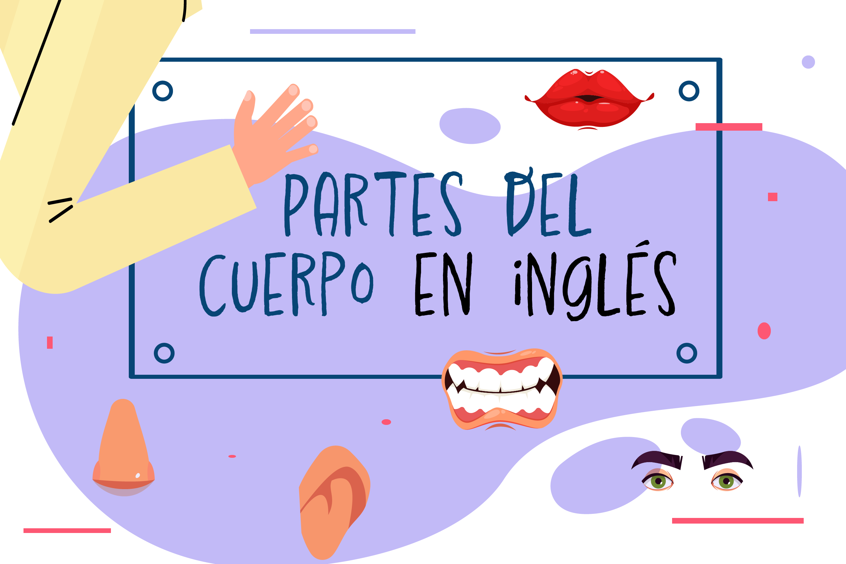 ¿Cómo se dicen las partes del cuerpo en inglés? Cabeza, torso y extremidades