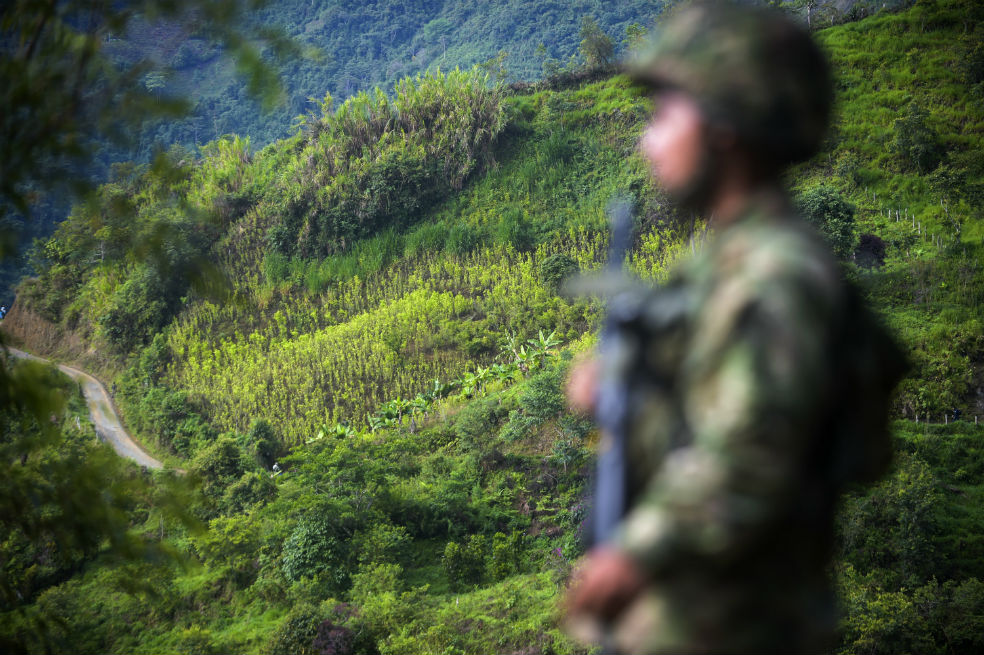 Salir de la ilegalidad de la coca, combustible de la guerra