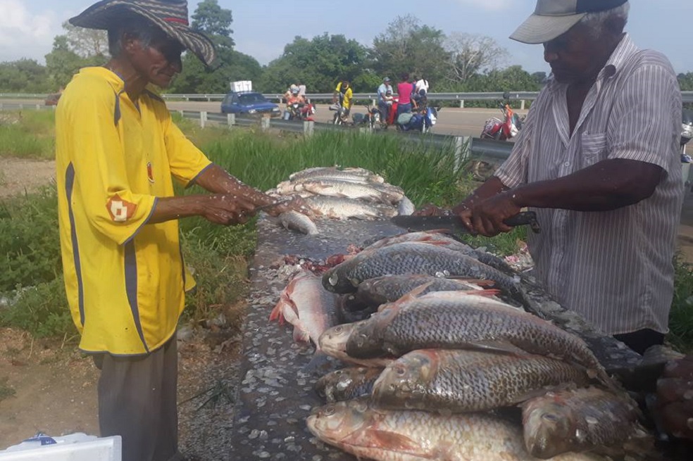 En San Marcos pan y pescado a $200