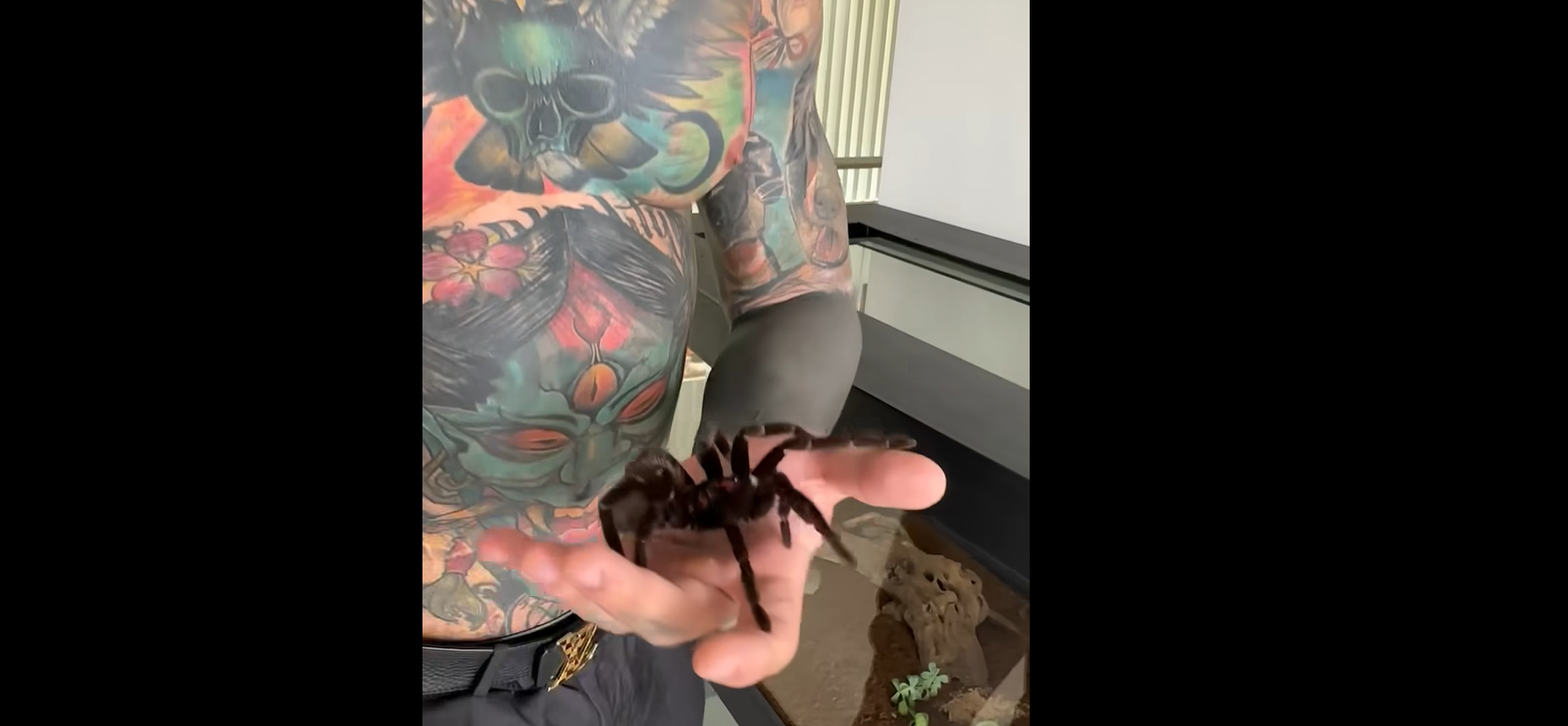 Yeferson Cossio mostró los exóticos animales que tiene en su casa