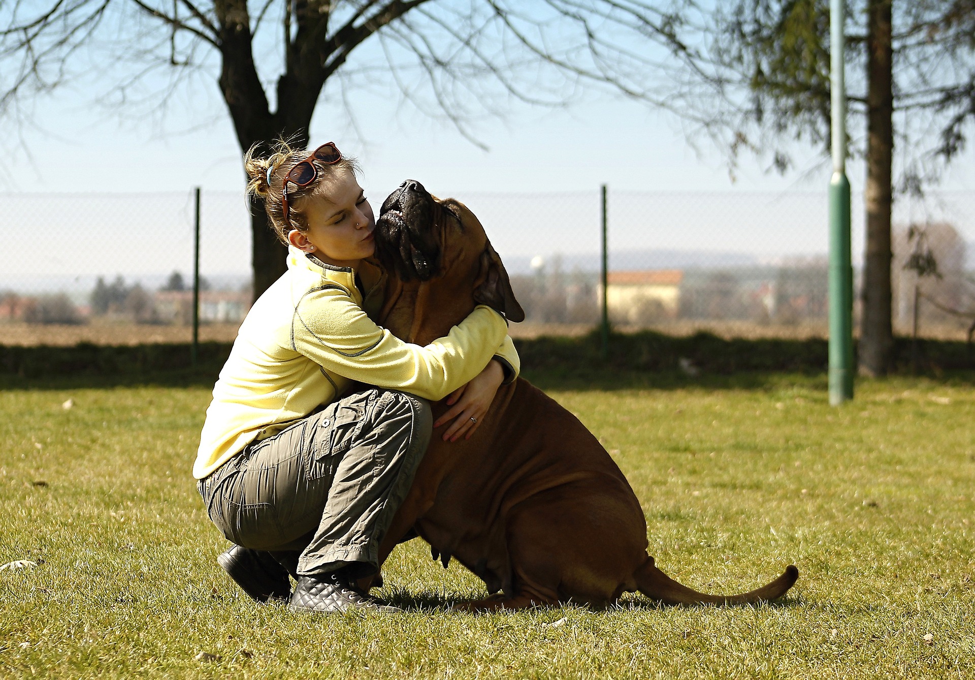 ¿Cómo eligen los perros a su persona favorita?