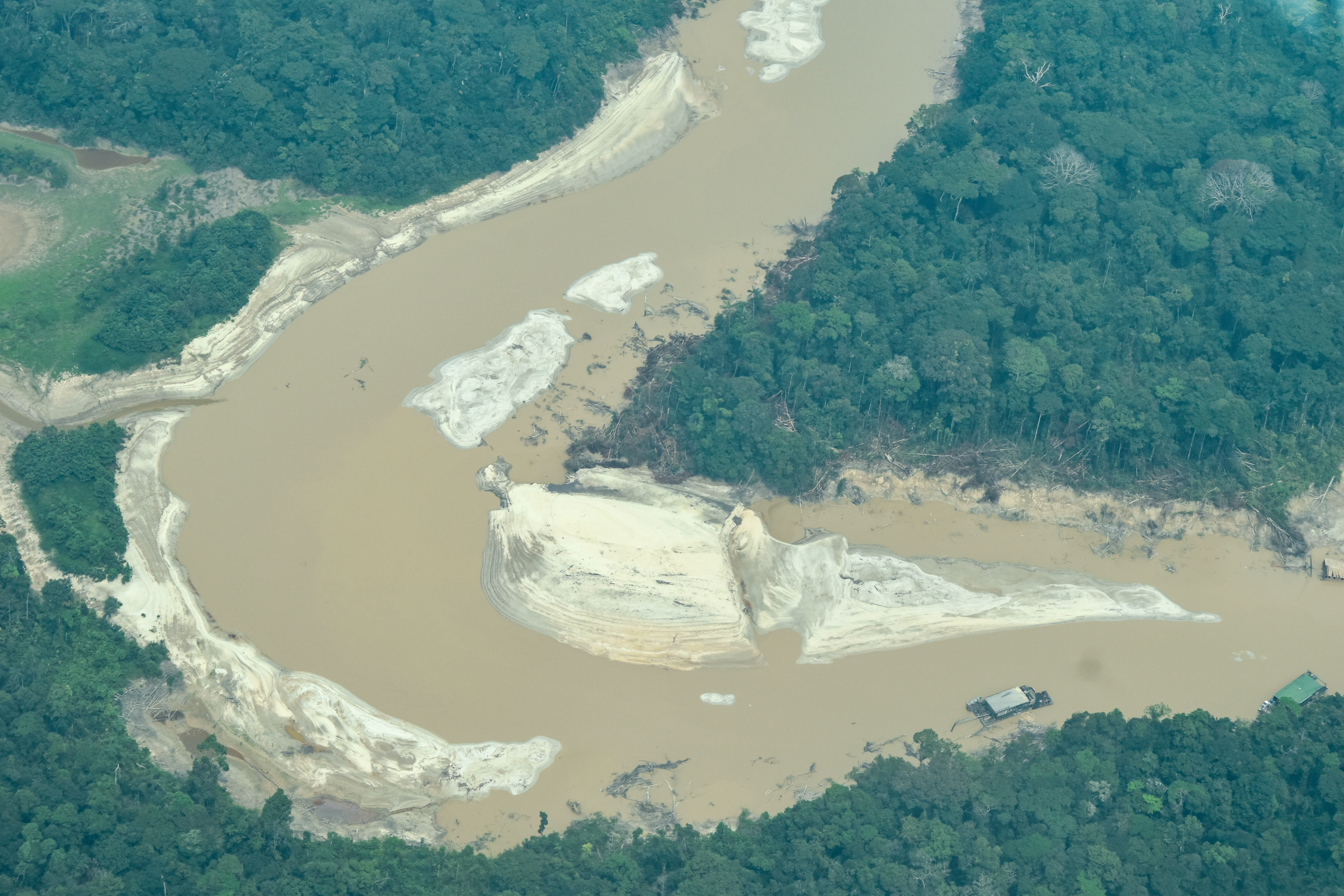 Mientras lee este artículo, 41 dragas sacan oro y destruyen el Parque Nacional Río Puré