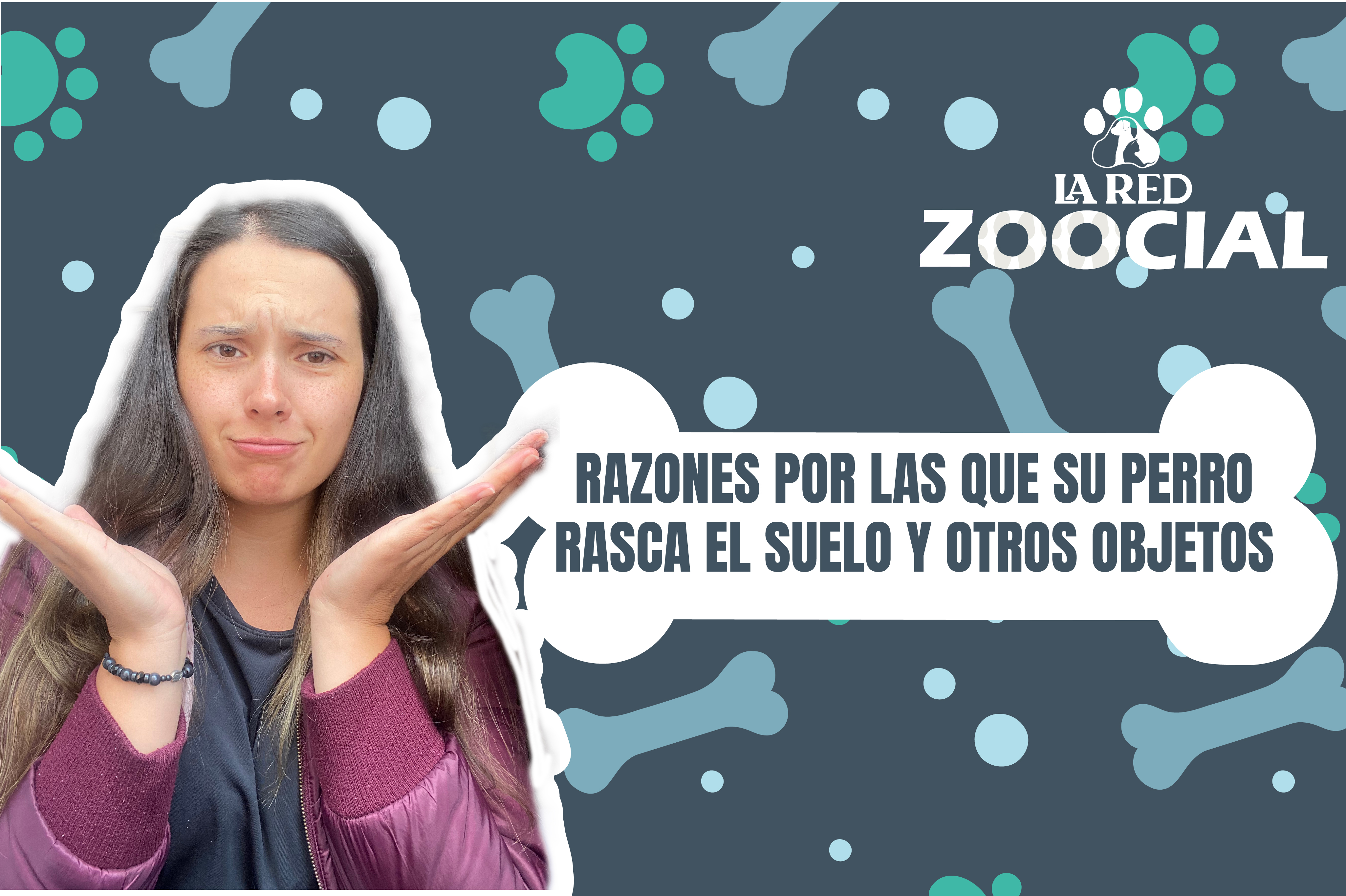 (VÍDEO) Razones por las que su perro rasca el suelo y otros objetos