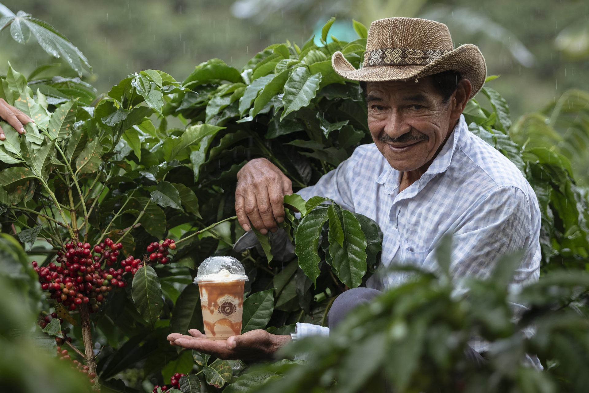 Valor de la cosecha del café colombiano será histórica este 2022