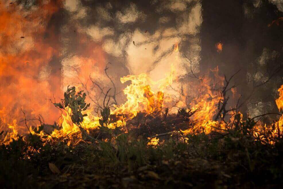 Calamidad pública en La Paz, Cesar, por incendios forestales en la serranía del Perijá