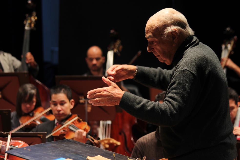 Director de museos musicales