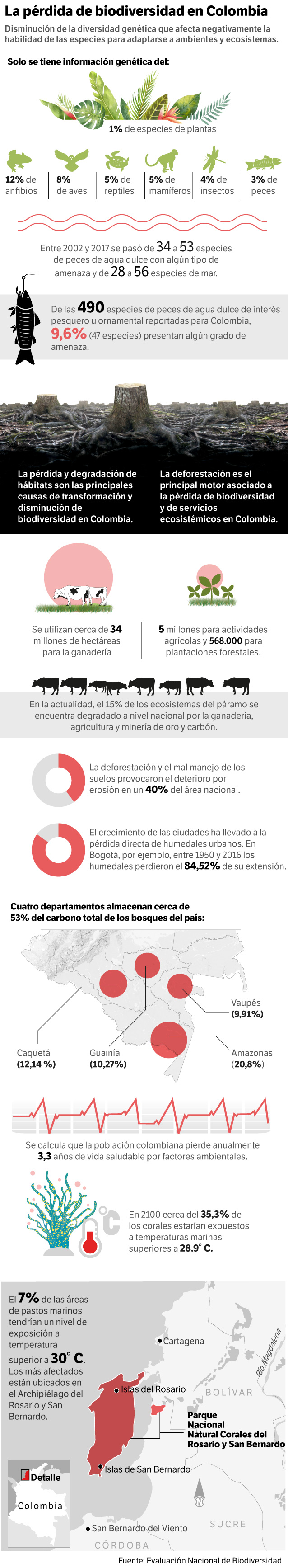 La pérdida de biodiversidad en Colombia