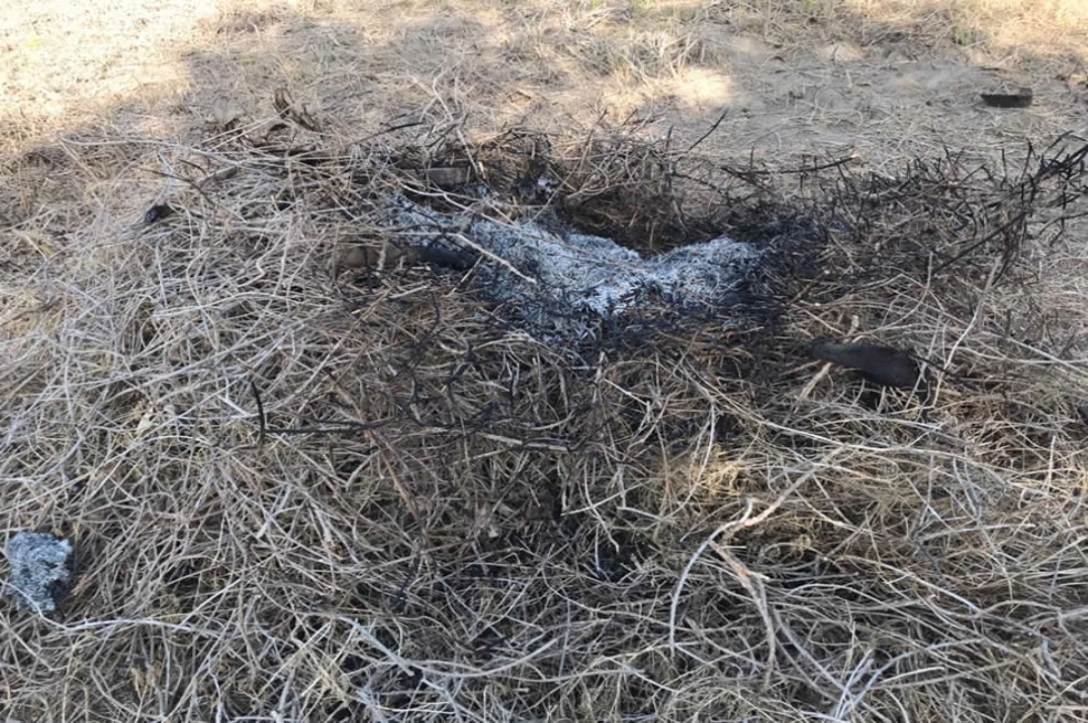Comunidad de la ciénaga de Mallorquín (Atlántico) denuncia tala y quema del manglar