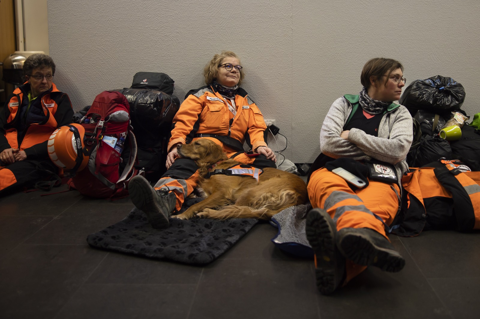 Un equipo de rescatistas suizos se prepara para iniciar labores de búsqueda y rescate tras el terremoto ocurrido en Turquía y Siria. Dentro de sus integrantes se encuentran perros entrenados para esta labor.