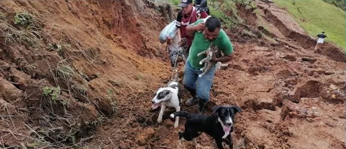 Campesinos no abandonaron a sus mascotas tras emergencia en Rosas, Cauca