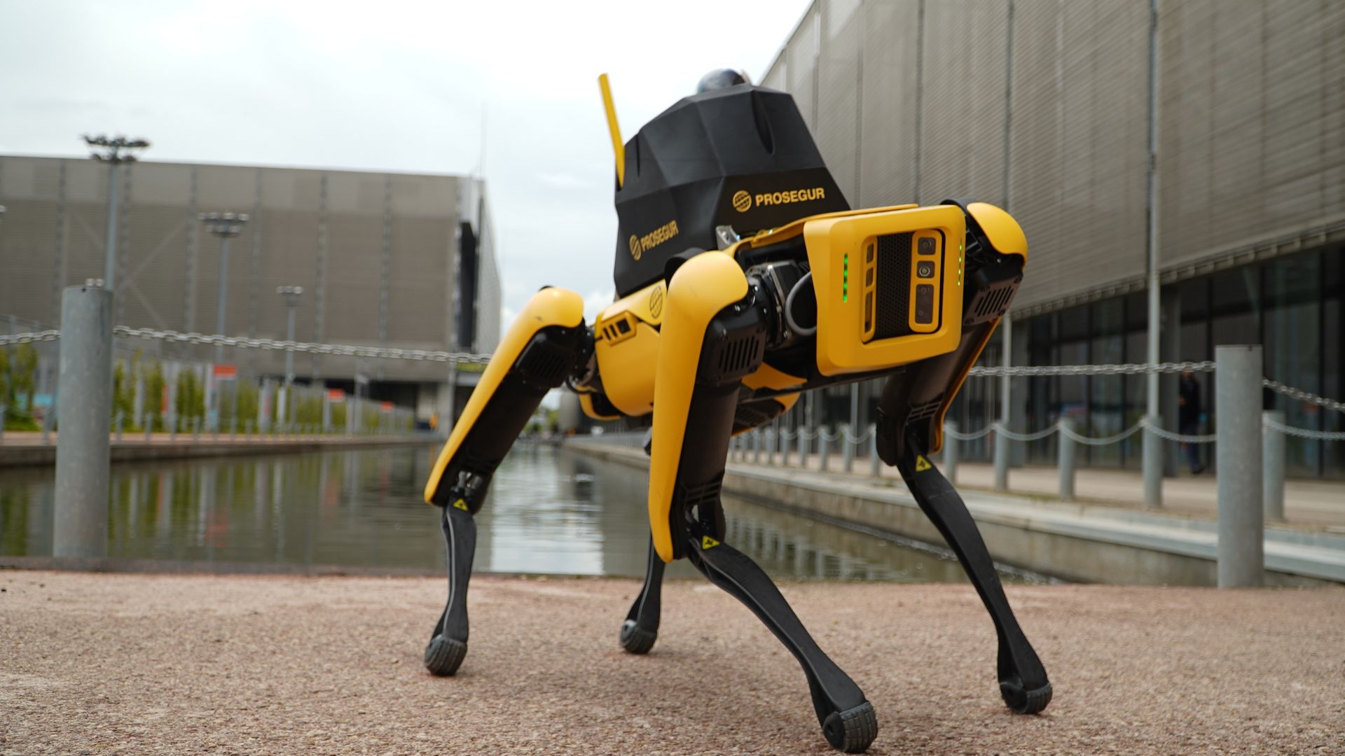 ¡Perro robot en el estadio! Busca mejorar la eficiencia en la seguridad en eventos