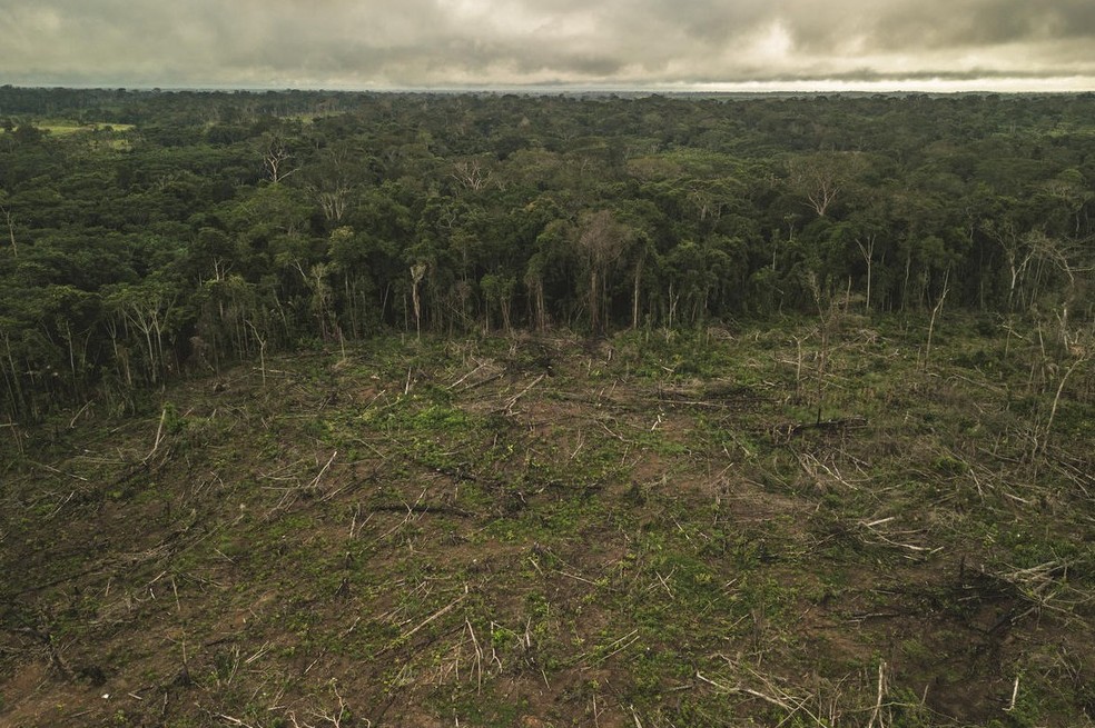 Nueve organizaciones advierten sobre la grave crisis en la Amazonia colombiana