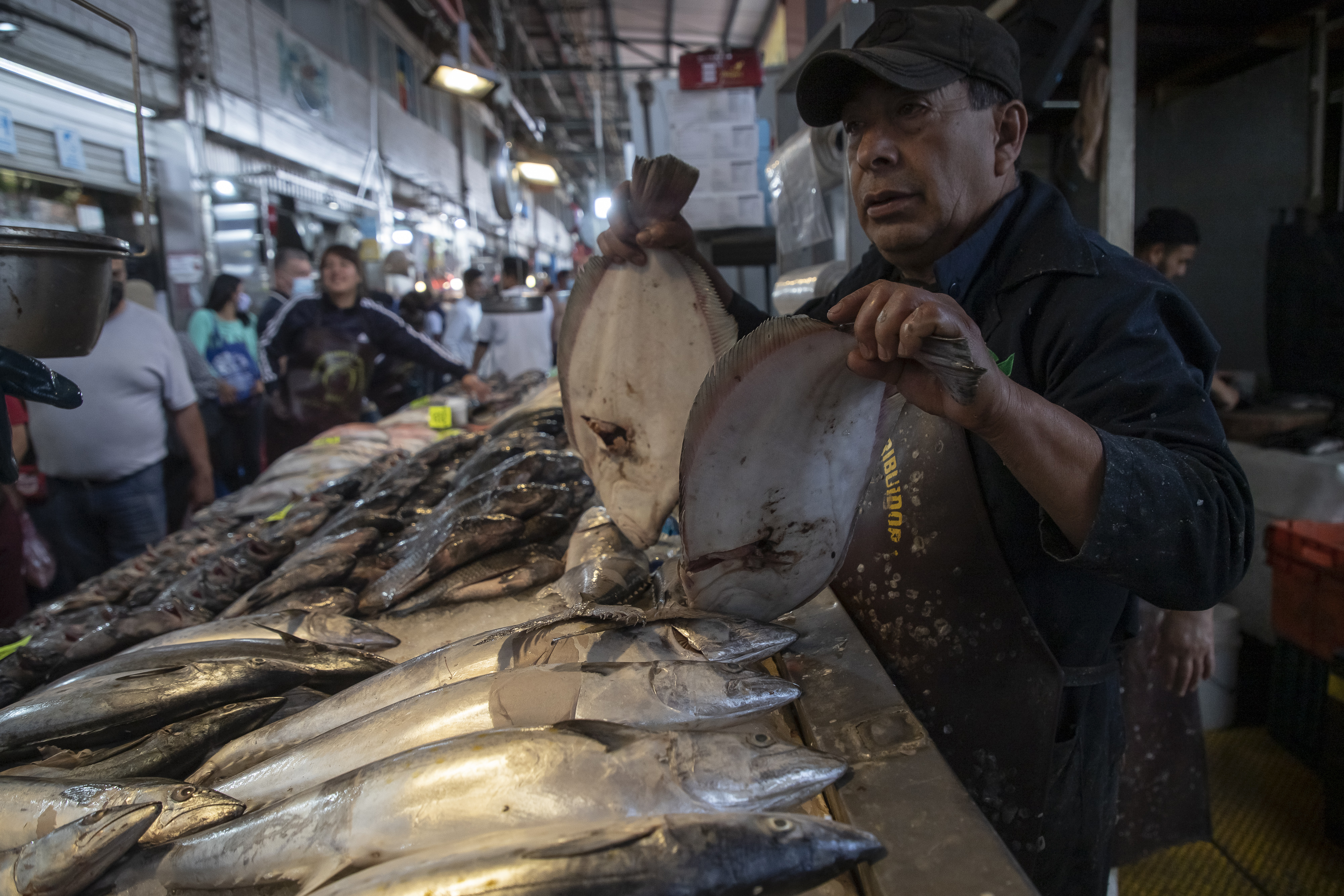 Evite intoxicarse con pescado esta semana santa: algunos “tips” para comprarlo