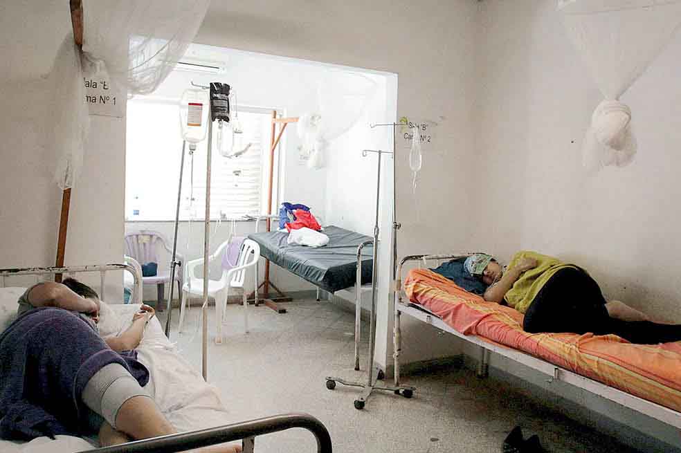 Epidemia de dengue: van 110.036 casos