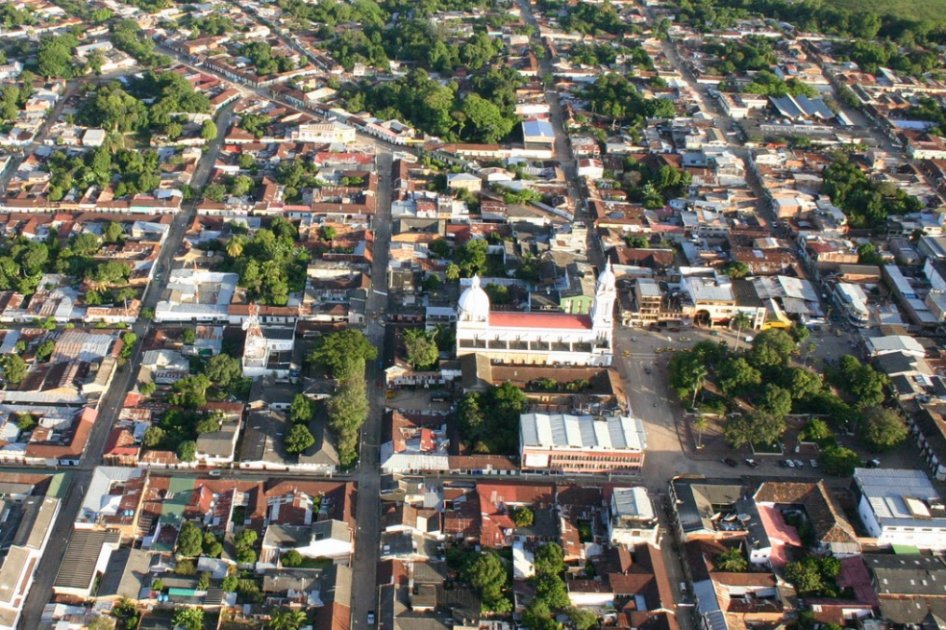 Brote epidémico de leishmaniasis en Tolima