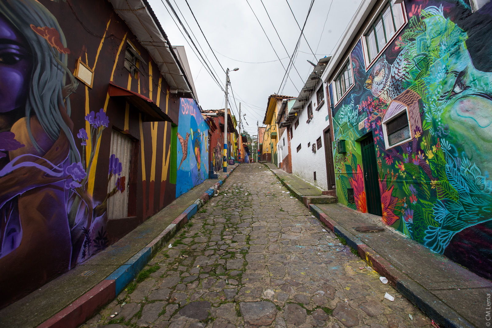 Año nuevo, planes nuevos: conozca los primeros eventos en Bogotá, 2025