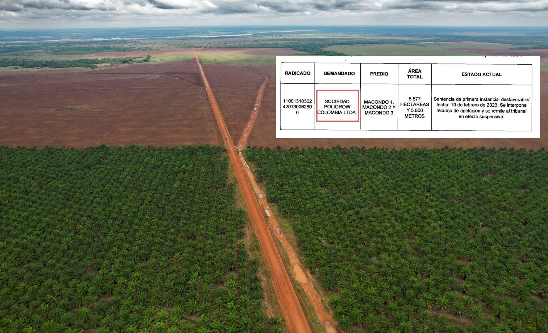 De acuerdo con el ministerio de Agricultura, Poligrow, empresa dedicada al cultivo de palma, está dentro de los casos a investigar.