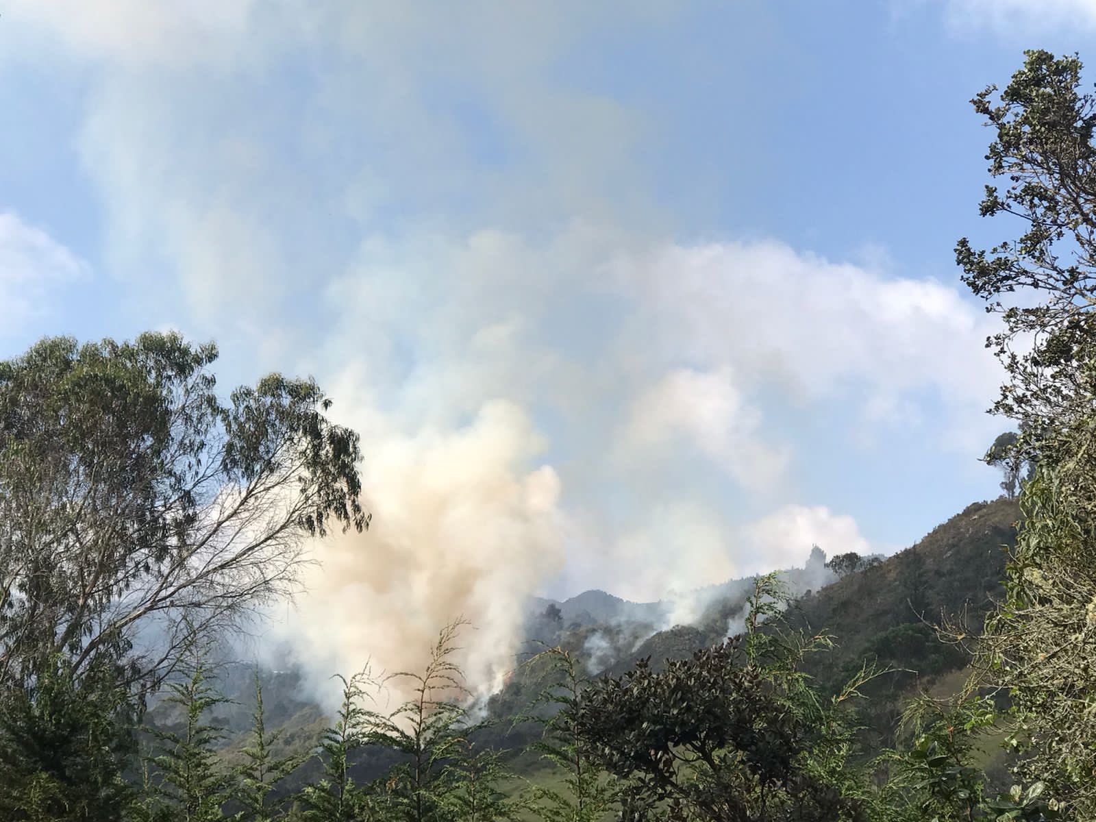 Bomberos controlan incendio forestal en los cerros orientales de Bogotá