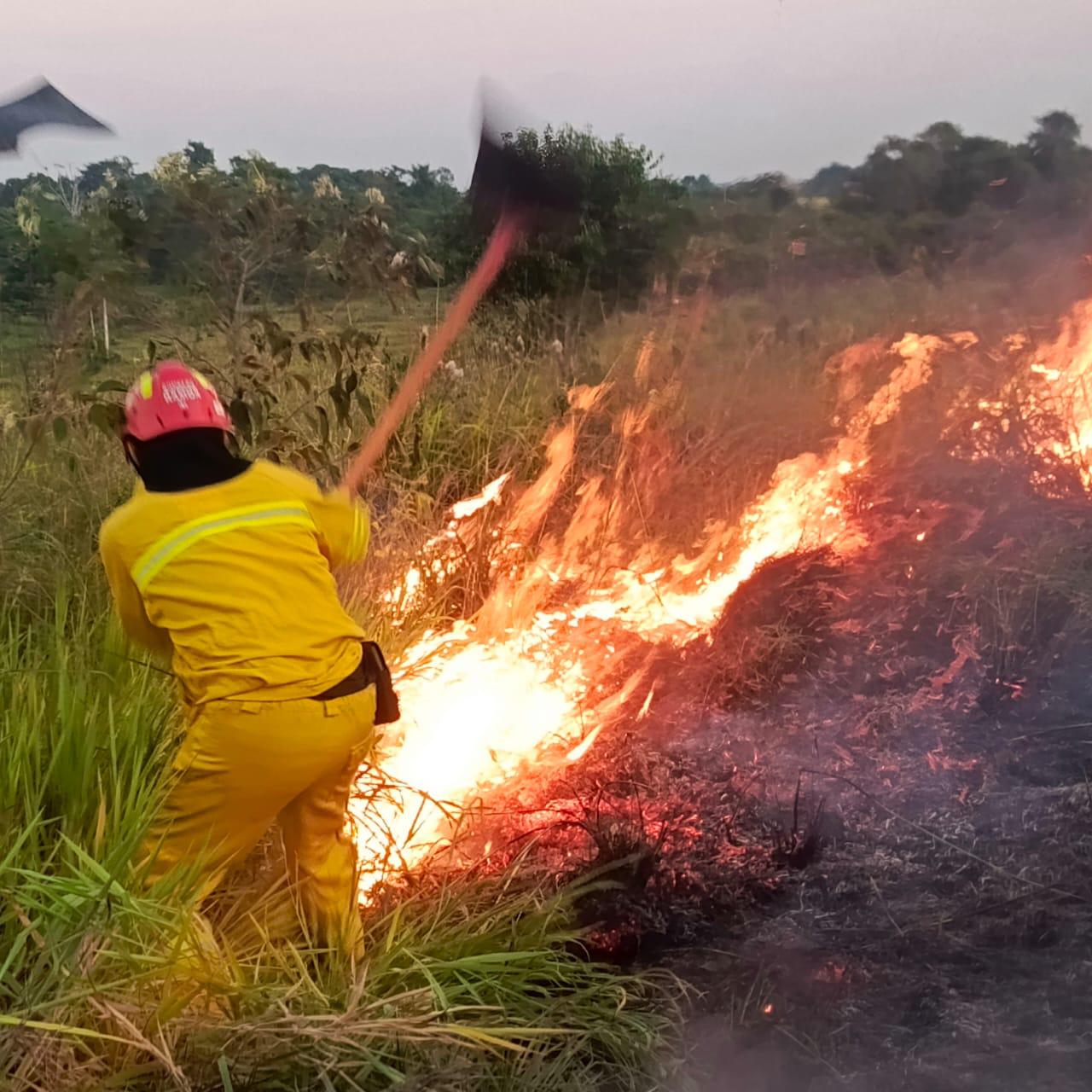 Incendios: no se puede perder de vista a la Amazonia