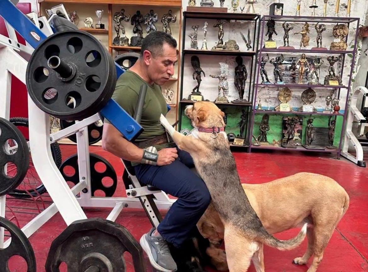 Gimnasio abrió sus puertas para darle hogar a perritos callejeros: “entrenamos el alma”