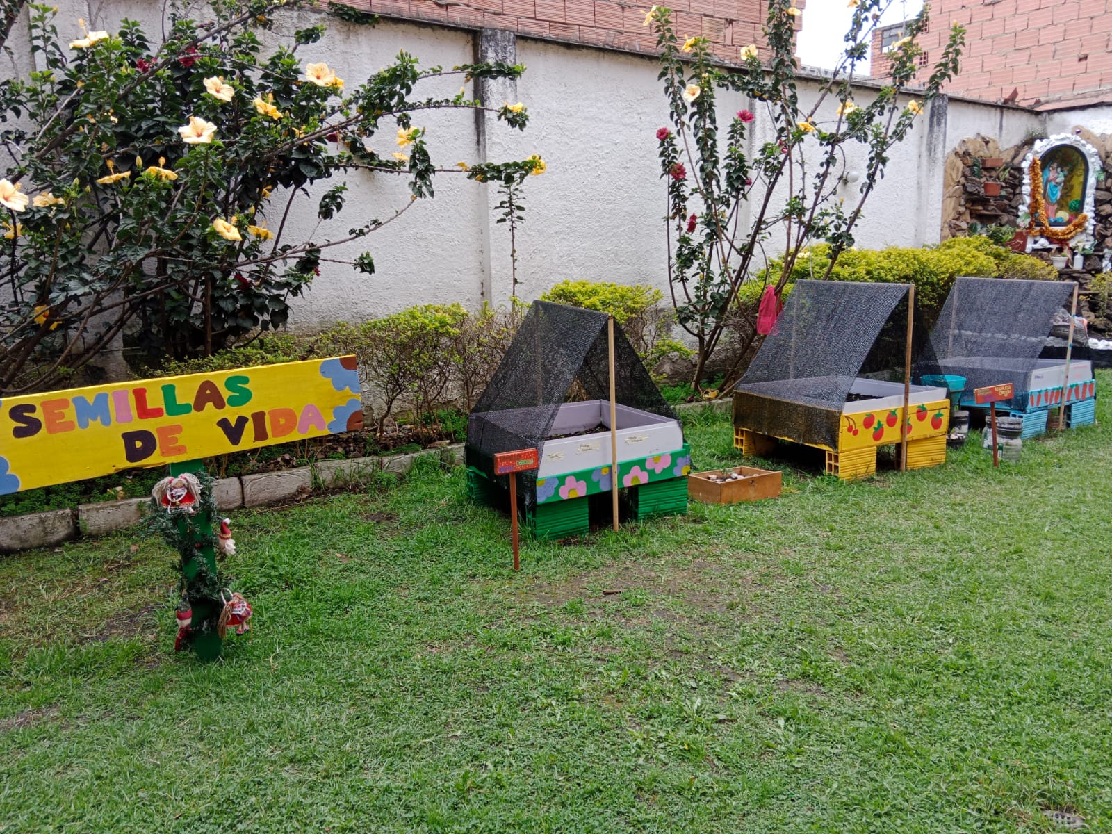Adultos mayores cuidan de la huerta en el centro transitorio Quiroga.