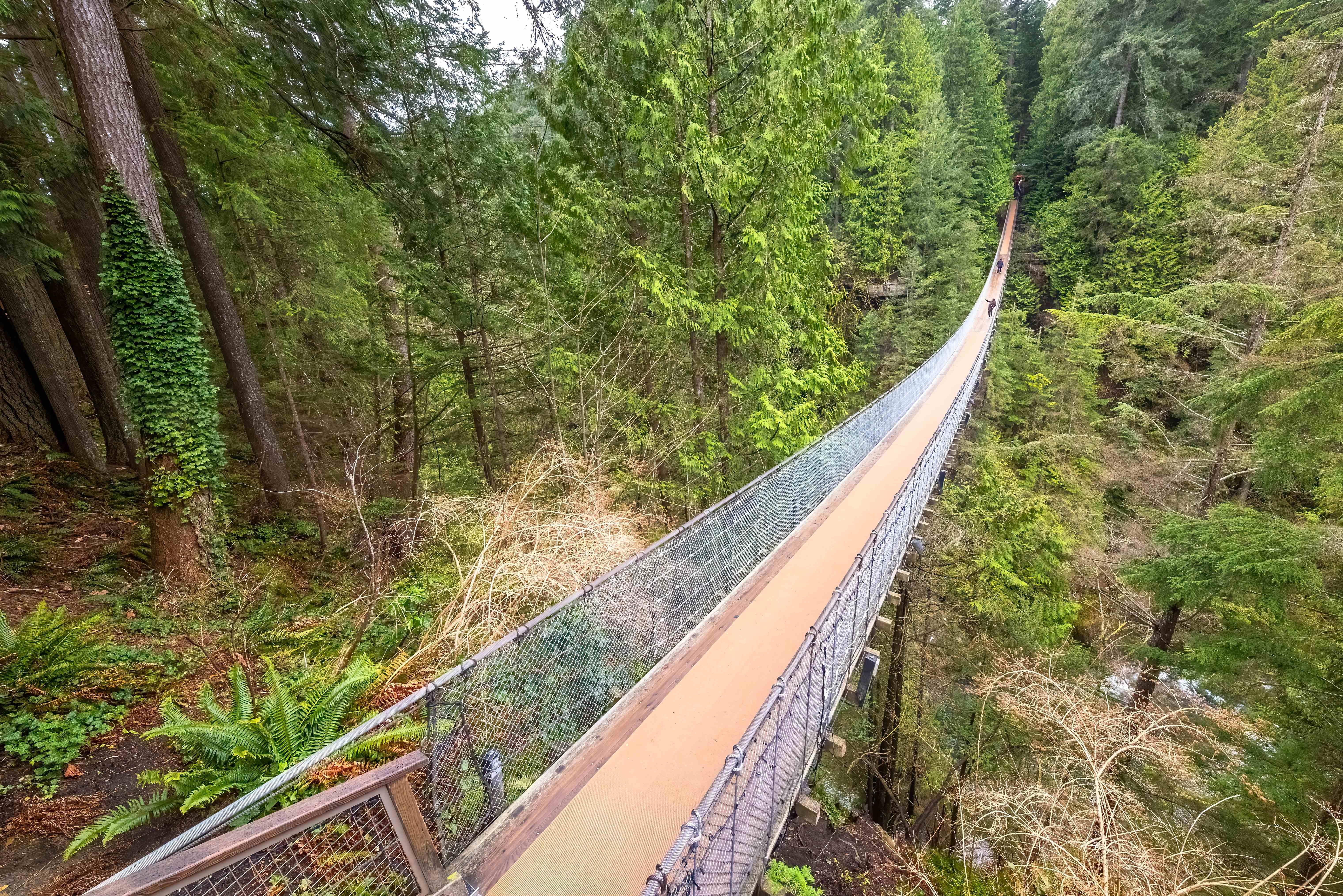Turismo en Vancouver, Canadá.