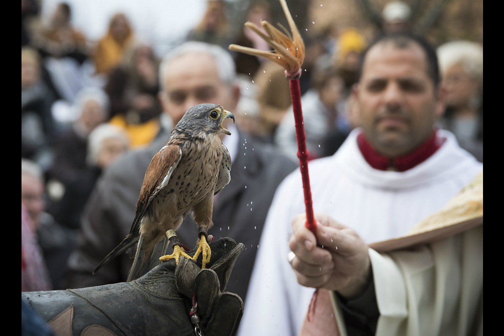 Sacerdote bendice a los animales en las calles de España