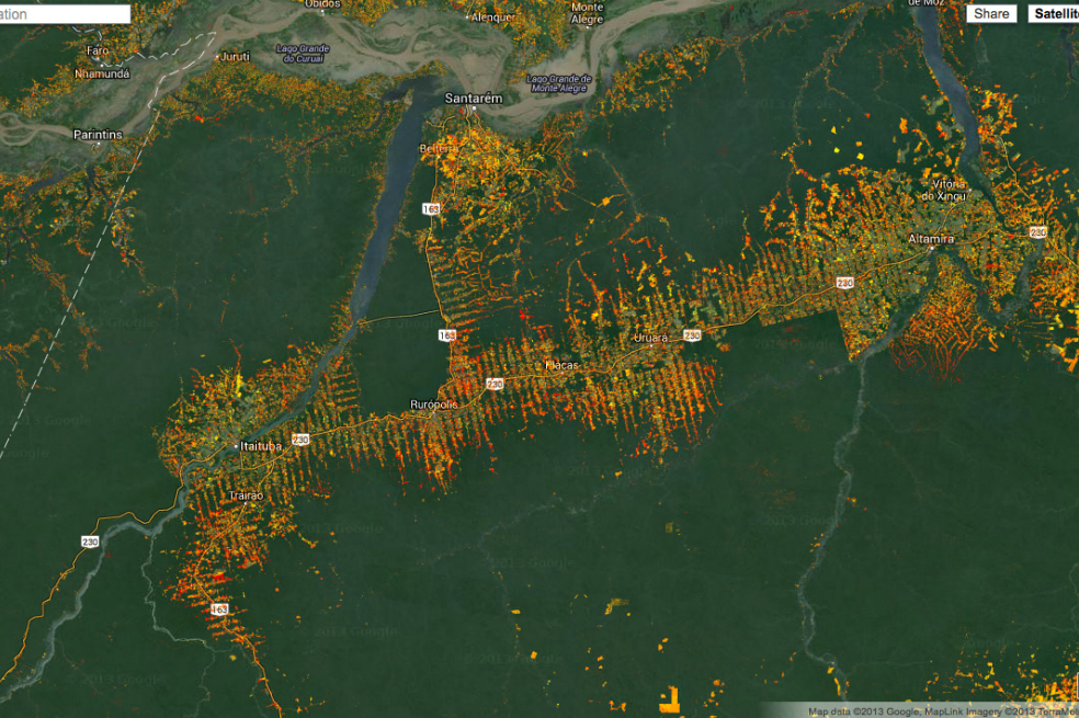 Indígenas podrán mapear deforestación amazónica con nuevo Google Earth