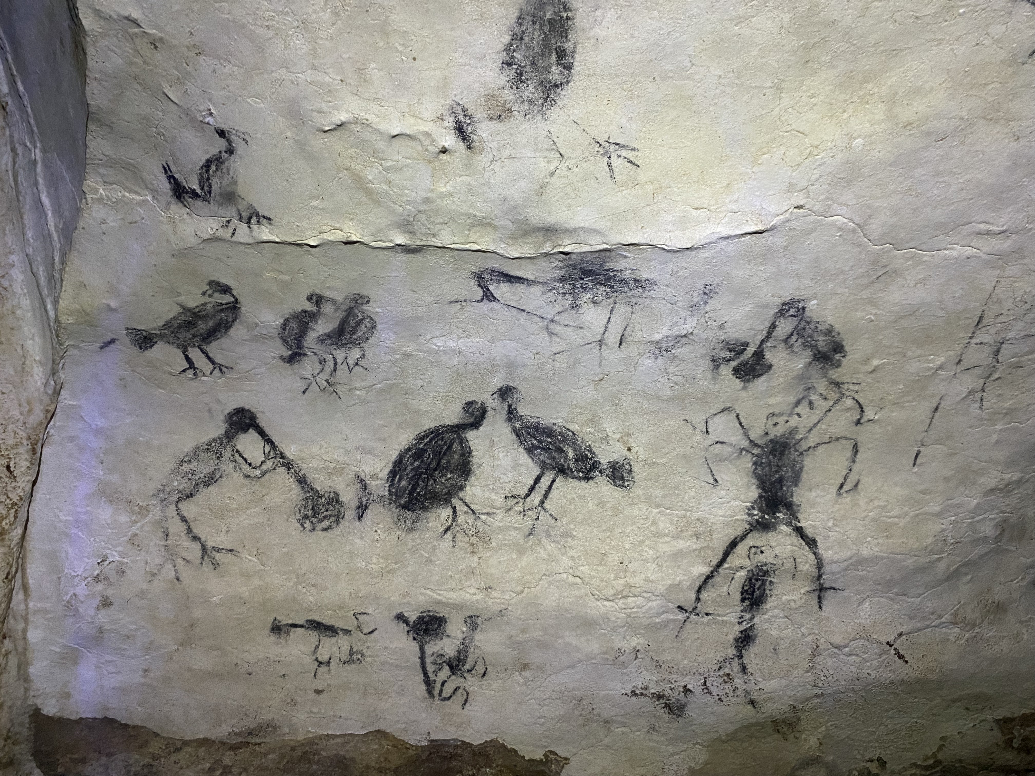 Arte rupestre: diseños, colores, motivos y lugares