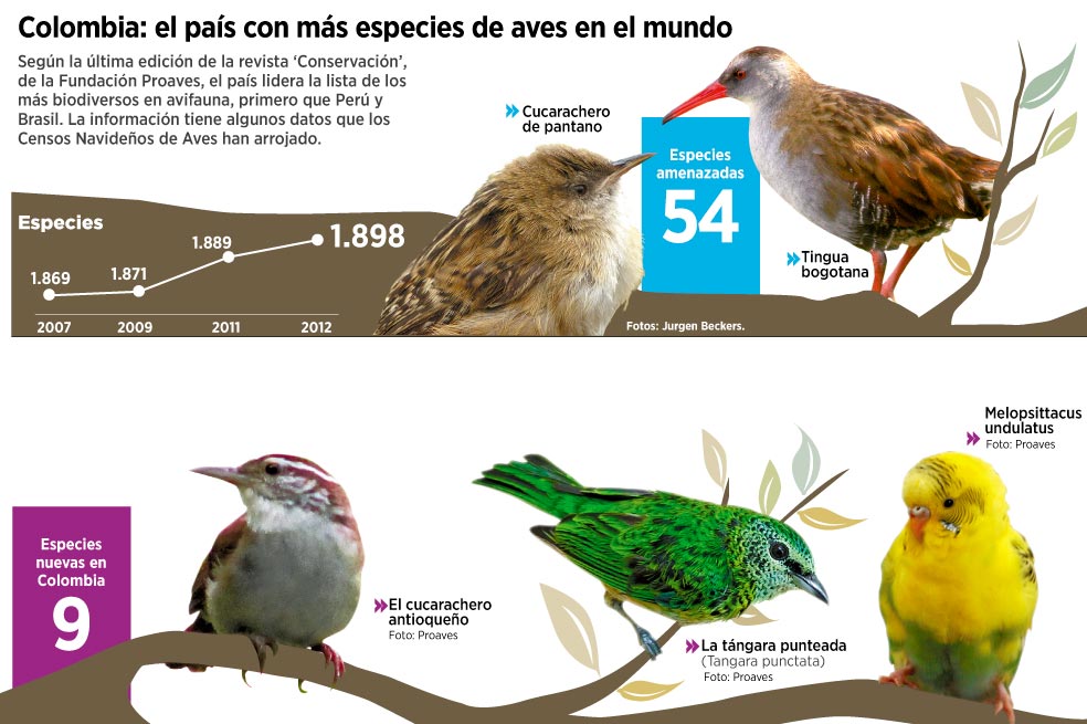 Colombia pierde atractivo para las aves migratorias