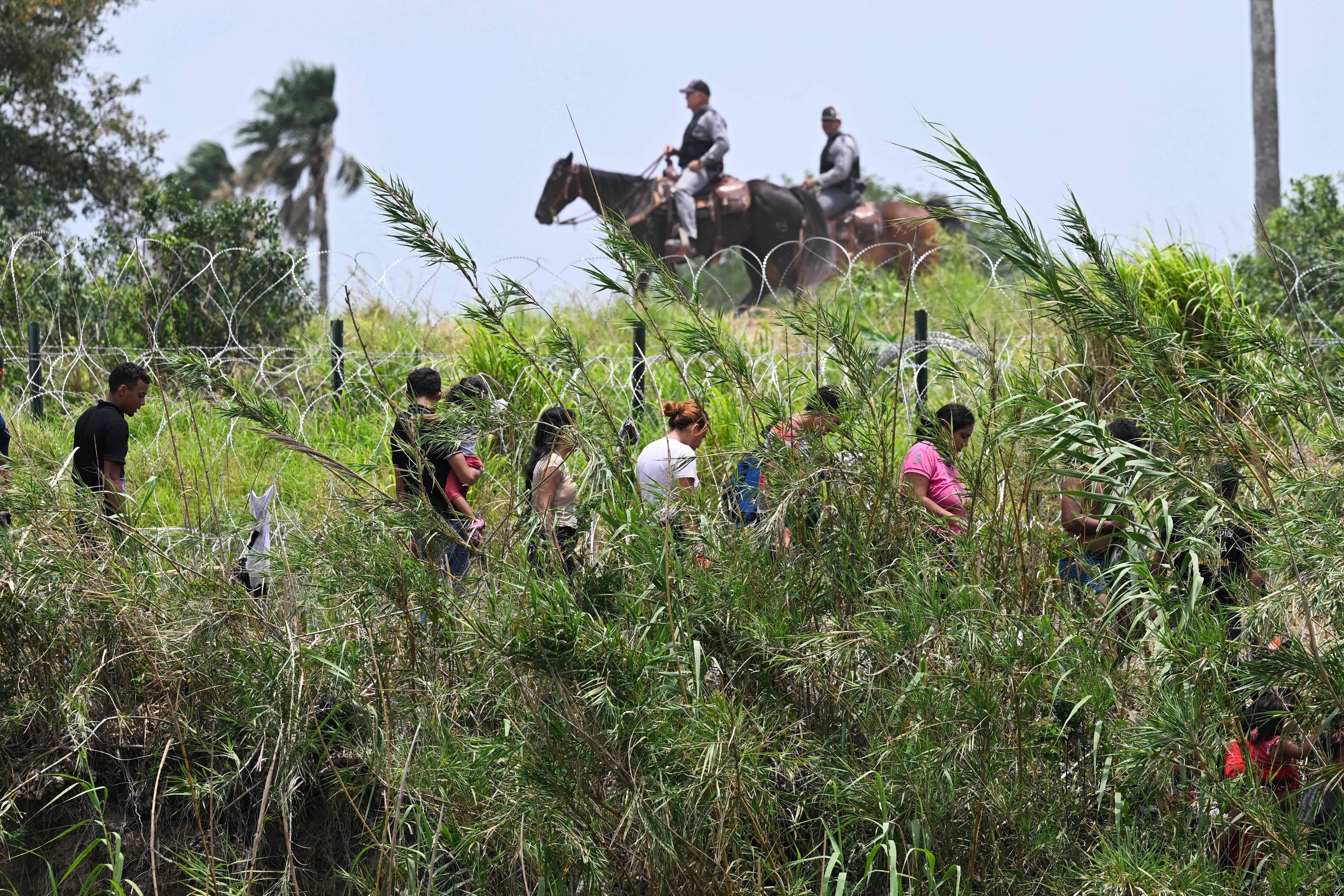 Migrantes Título 42