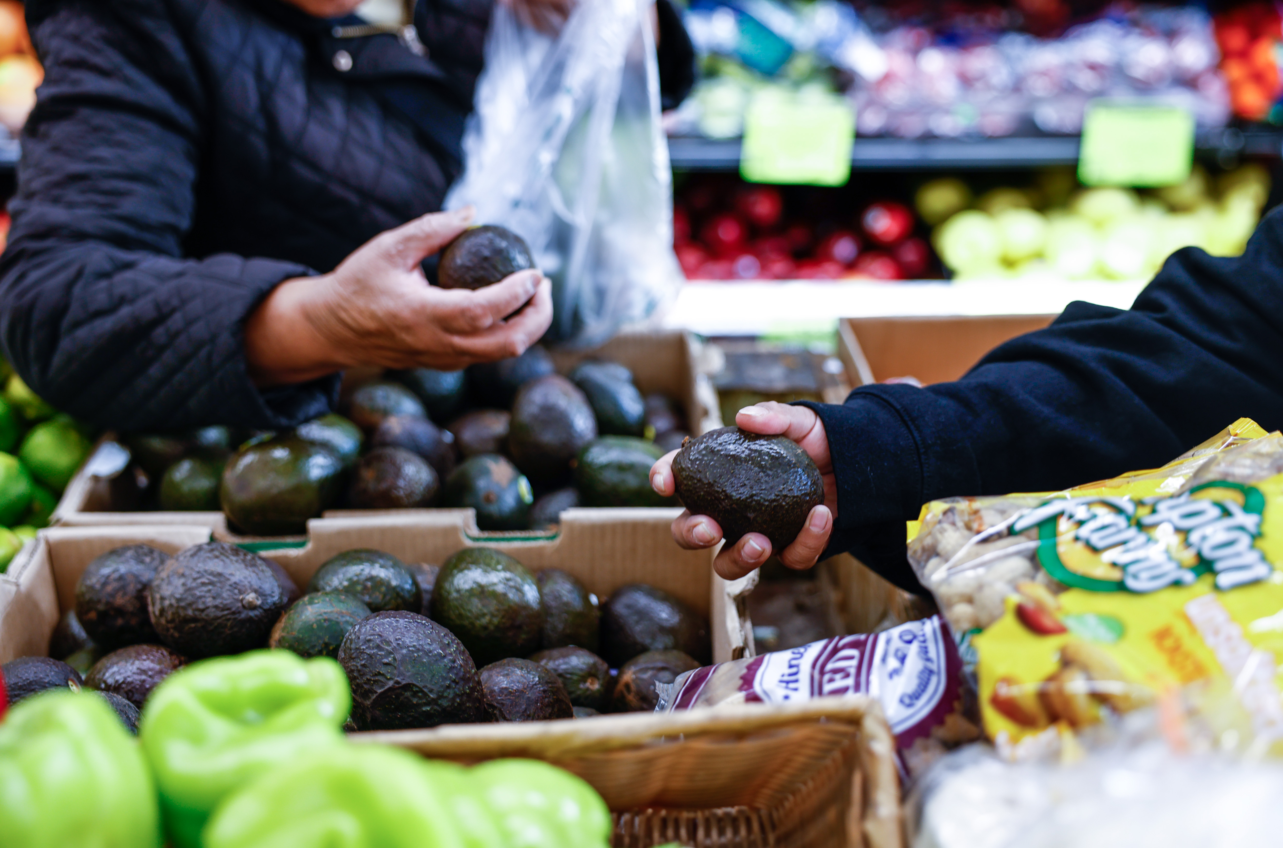 Récord de envíos de aguacate mexicano hunde precios en EE. UU.