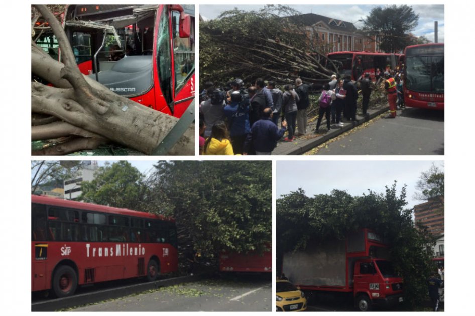 Árbol cayó sobre dos buses de TransMilenio en la calle 39