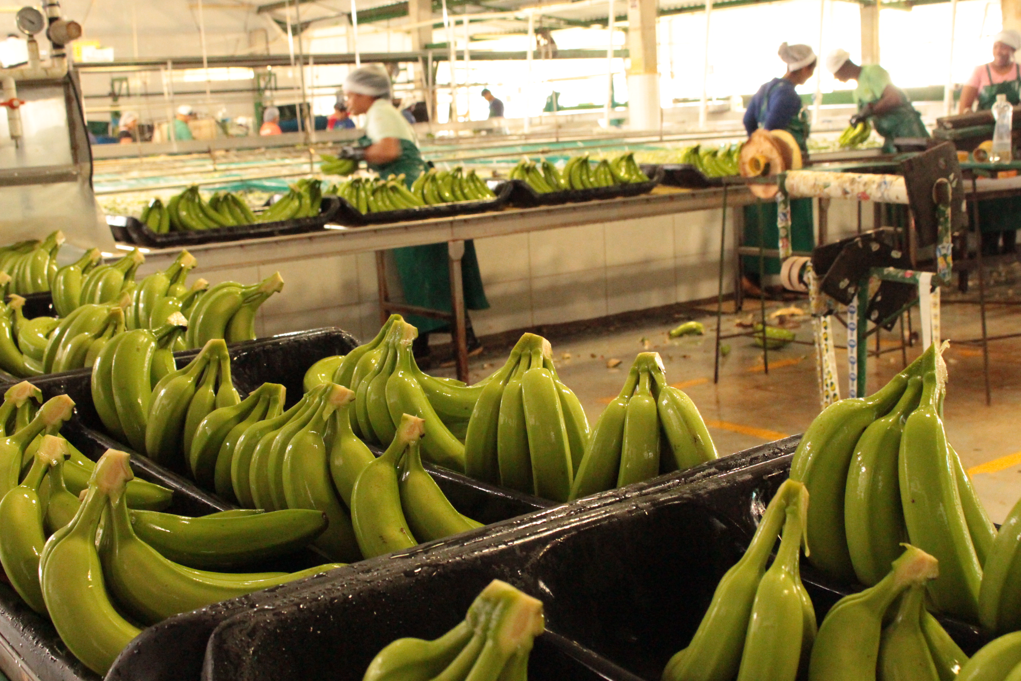 La economía colombiana creció más de lo esperado, ¿qué tan sólidas son las bases?