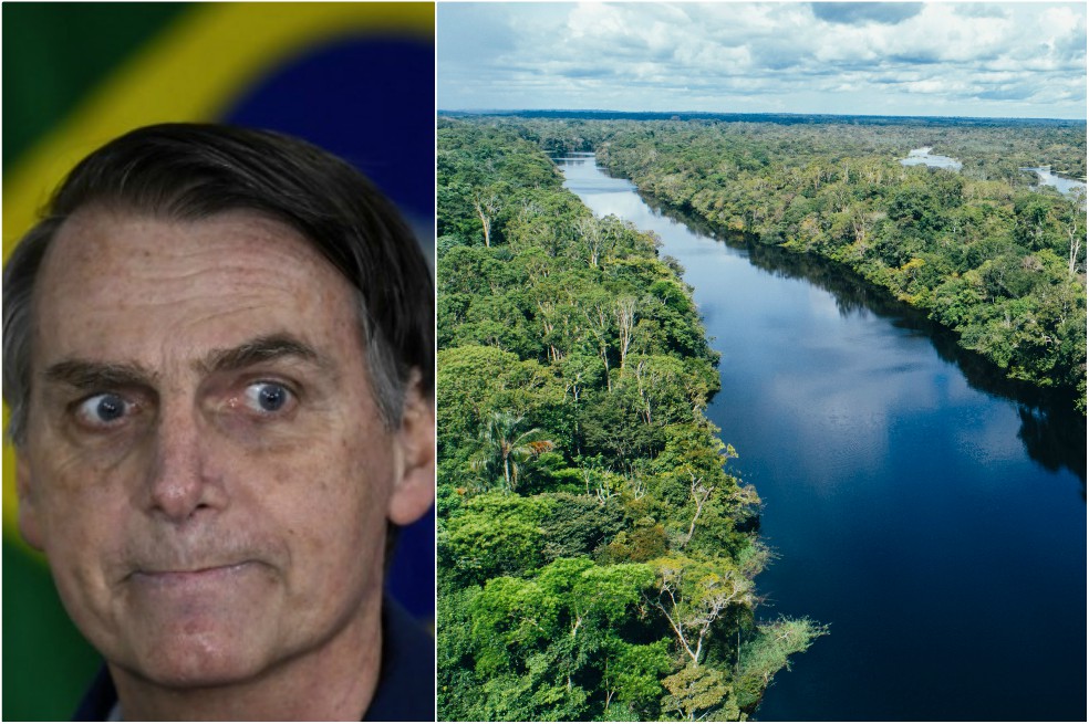 El futuro de la Amazonía se juega en las elecciones de Brasil